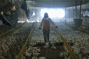 `900 Bin Lira Hibe Aldık`