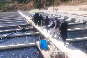 Kardeş Ülkeye Balık Yetiştiriciliği Eğitimi