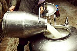 Çiğ Süt Fiyatlarına Üretici Ne Dedi