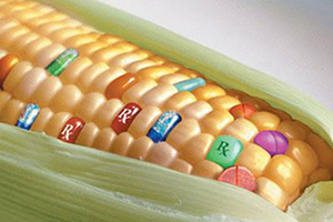 Çiftçilerin Eylemi Yankı Buldu