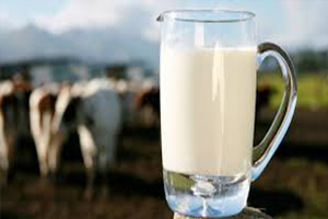 Çiğ Süt Fiyatlarına Yeni Düzenleme
