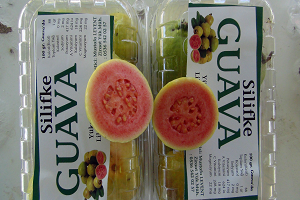 Kansere Karşı Yerli Üretim, Yeni Ürün