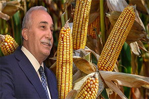 Fakıbaba : Mısır Üreticilerine Dikkat!