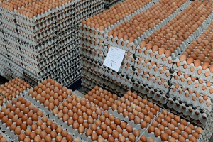 En Yüksek Artış Yumurta Fiyatlarında