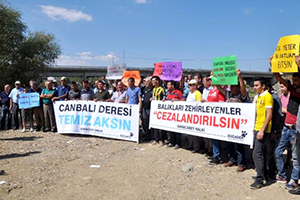 Balık Ölümlerine Karacabeyli`den Protesto