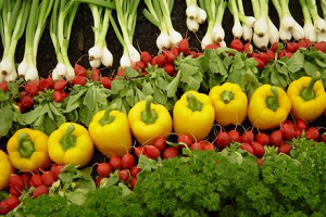 `Güneydoğu, Türkiye`yi Ve Avrupa`yı Besler`