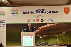 Türkiye`de Fipronilli Yumurta Araştırmalarında Sonuç