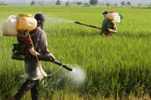 AB`de Glifosat Tartışması Sürüyor