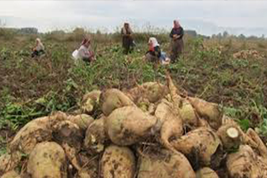 Son 10 Yıllık Rekor