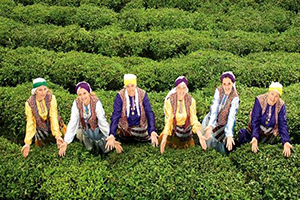 93 Ülkeden İhraç Talebi