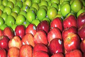 `İç Pazar Doymuş Durumda`