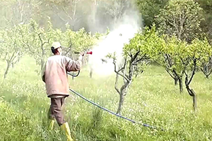 Böcek İlacından 20 Çiftçi Hayatını Kaybetti