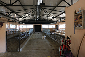 Modern Ahır Projeleri Yükseliyor