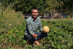 Tütüne Alternatif Ürünler Yüz Güldürüyor