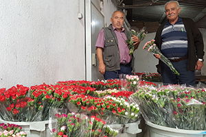 Bin 974 Nüfuslu Köyde, Yılda 20 Milyon TL Kazanç