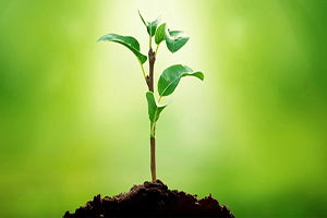 Tarımsal Danışmanlık Hizmetlerine Destek