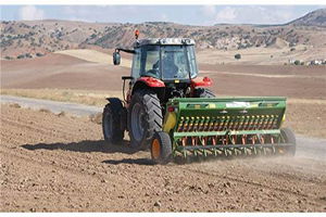 Verim İçin Yerli Tohumu Tercih Ettiler