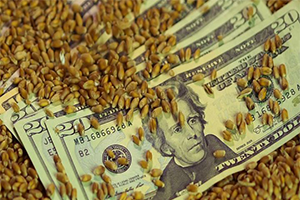 FAO: Dünyanın Gıda İthalat Faturası Artıyor