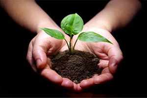 Sektör Firmalarından Doğal Afet Sonrası Üreticiye Destek Gecikmedi