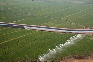 GAP`ın Yeni Gözdesi Organik Ürünler Oldu
