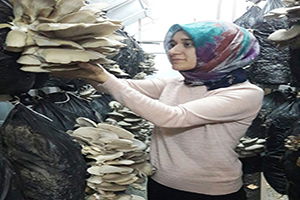Devlet Desteğiyle Kurduğu Serada `İstiridye Mantarı` Yetiştiriyor