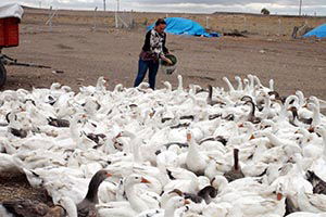 Kurduğu Tesisle Kendi İşinin Patronu Oldu