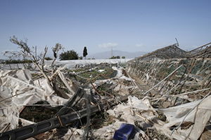 Tarım Sigortalarında Yenileme Oranı Artıyor