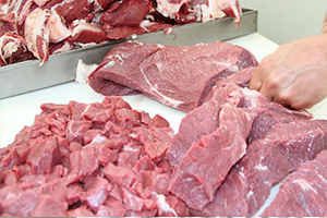 Bakan Eşref Fakıbaba`dan İthal Et Açıklaması