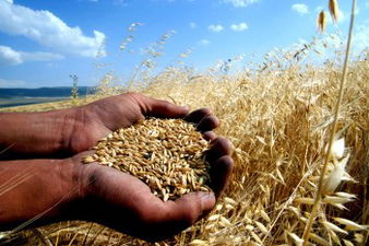 Üreticinin Kara Gün Dostu!