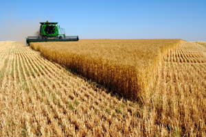 Tarım Sigortası Kapsamı Belli Oldu