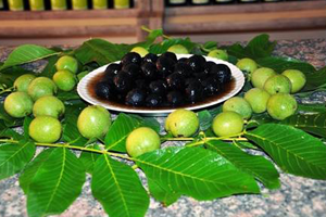 Ceviz Reçeli Tescilleniyor