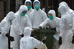 Kasım Ayından Bu Yana Kuş Gribi Devam Ediyor