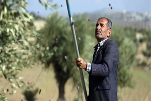 Organik Zeytinyağı Üretimi Kısa Filme Konu Oldu