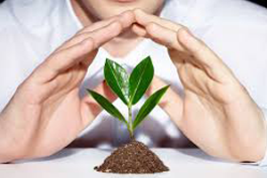 Samsunlu Çiftçilere Tarım Sigortası Anlatıldı