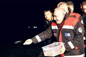 Şeker Ve Tütüne Denetimler Başladı