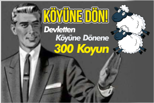 Gündemin Konusu 300 Koyunu Anlatan 14 Yaratıcı Tweet
