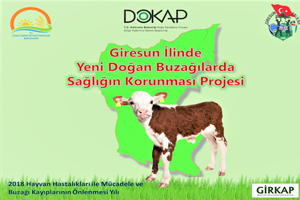 Giresun`da 2018 `Buzağı Kayıplarının Önlenmesi Yılı` İlan Edildi