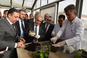 `Bir Tohum Bir Dolar`