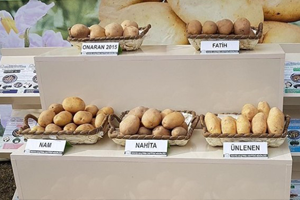 Yerli Tohum Nahita`nın Satışı Yapıldı