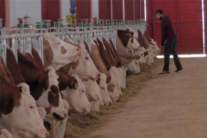 2 Milyon Liralık Hibe İle Modern Süt Tesisi Kurdu