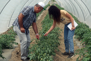 Bitkisel Üretimde Biyolojik  Mücadele Yapanlar Destekleme Alacak