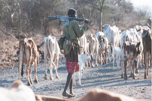 Çiftçilerle Hayvancılar Arasında Çatışma Çıktı: 86 Ölü