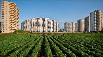 Tarım Alanları Azalıyor Mu?