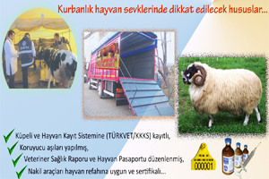 Kurbanlık Hayvanlarda Salgın Hastalıklara Dikkat!
