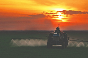 `Yeni Hükümetin Önceliği Tarım Olmalıdır`