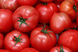 Domatesin Kilosu 9-10 Lira Olacak