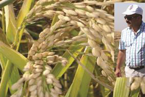 Bu Kurala Uymayanlar  Desteklerden Yararlanamayacak!