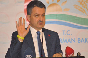 Bakandan Açıklama; Yerli Hal Yasası Üzerinde Çalışıyoruz