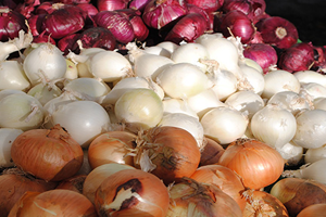 Soğanda Yaşanan Hastalık Rekolteyi Vurdu, Fiyatlar Tavan Yapacak