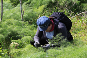 Ot Severlerin Mutlaka Denemesi Gereken Sonbaharın Şifalı Otları